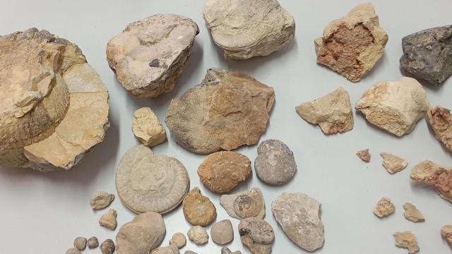 Los materiales intervenidos.