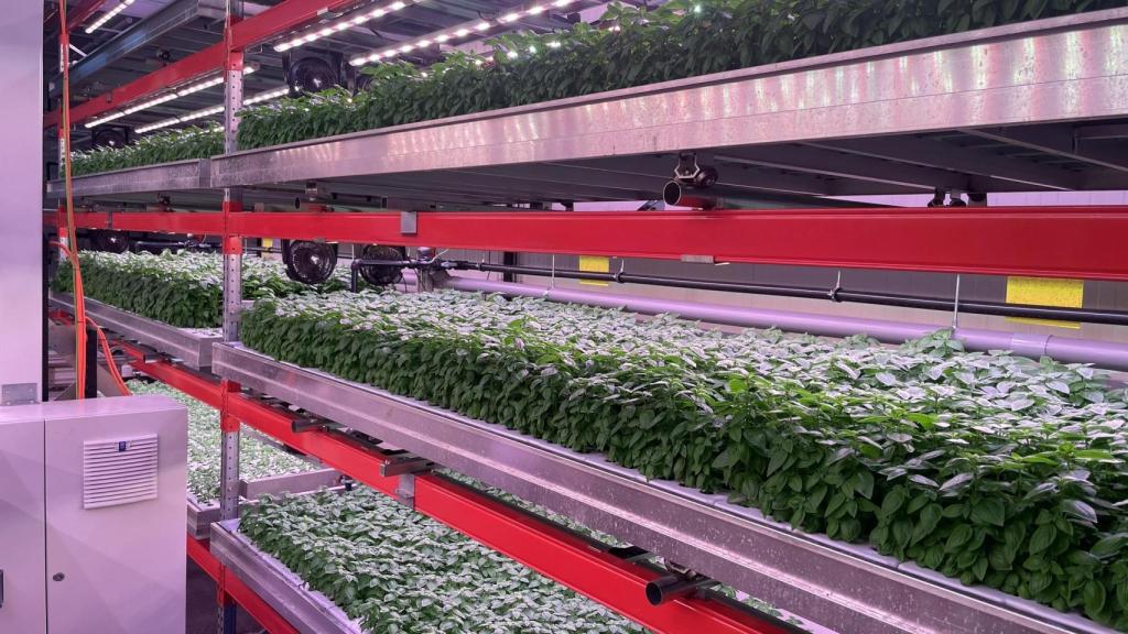 Néboda cierra una ronda de 1,8 millones de euros para escalar su modelo de agricultura vertical industrial.