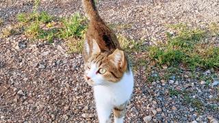 Imagen de WhatsApp 2025-07-19 a las 22.18.31_cf1b2bd8