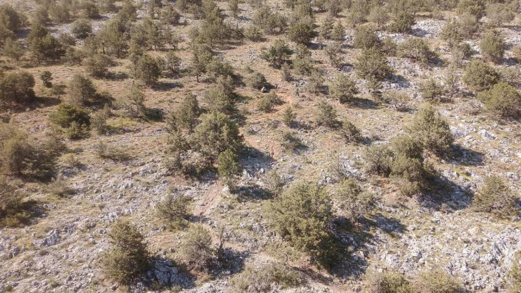 Imagen de la senda donde se ha accidentado el ciclista en Burgos.