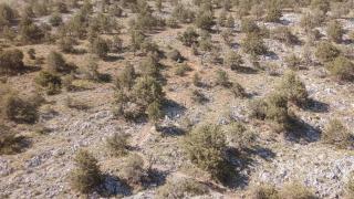 Imagen de la senda donde se ha accidentado el ciclista en Burgos.
