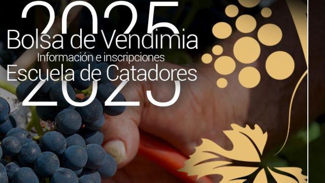 Cartel Bolsa Vendimia Campo de Criptana