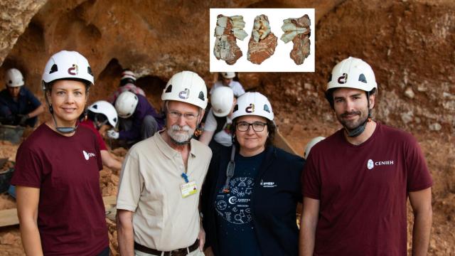 El equipo investigador y un tercer molar de leche superior de una cría de reno