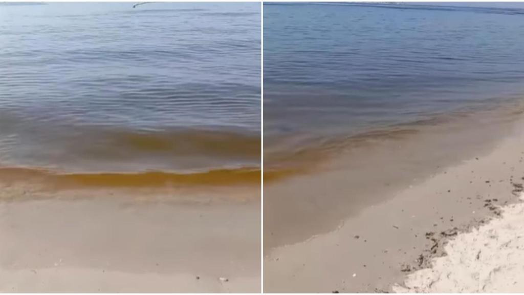 La marea roja tiñe cuatro playas de Sanxenxo (Pontevedra)