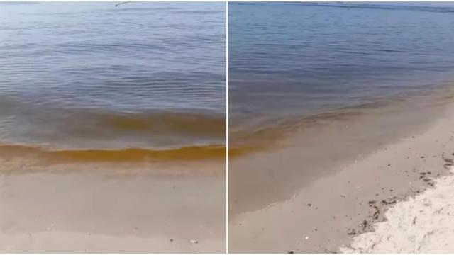 La marea roja tiñe cuatro playas de Sanxenxo (Pontevedra)