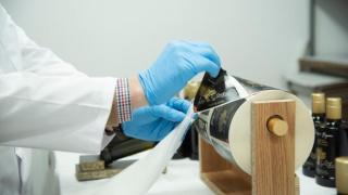 Foto: Almazara 'Hermanos Jaime'.