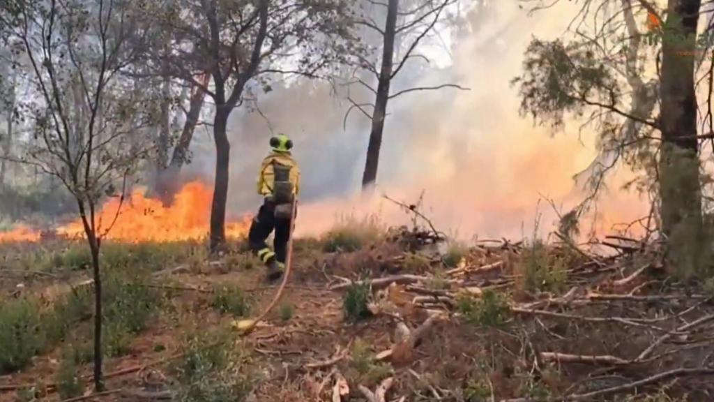 Incendio en Salobre (Albacete). Foto: Plan Infocam.