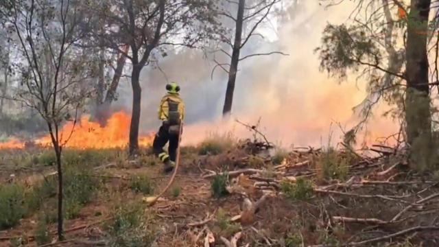 Incendio en Salobre (Albacete). Foto: Plan Infocam.