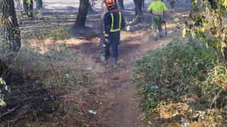 Los Bomberos de la Diputación de Zamora trabajan en el incendio declarado en Alcañices