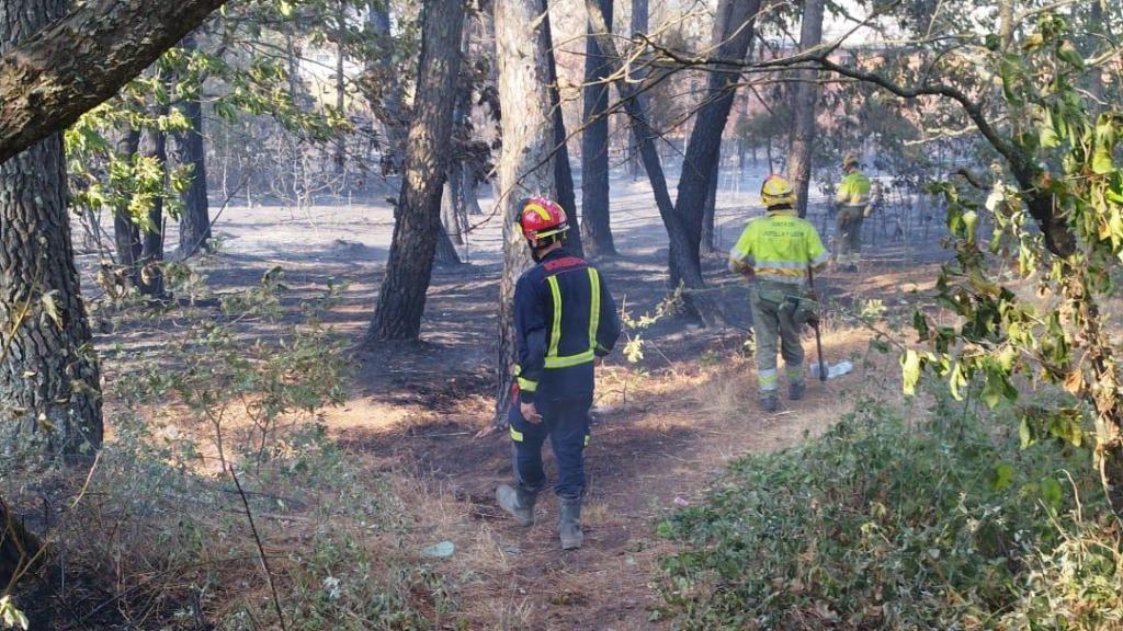 Los Bomberos de la Diputación de Zamora trabajan en el incendio declarado en Alcañices