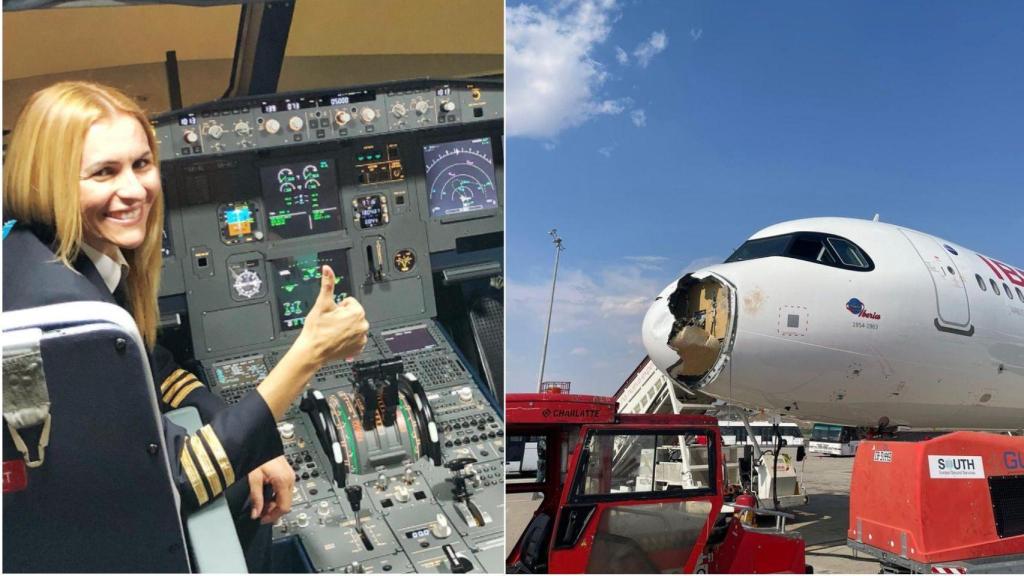 La nave chocó contra un ave de grandes dimensiones.