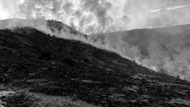 Incendio forestal en la zona de Valdeperillo (La Rioja)