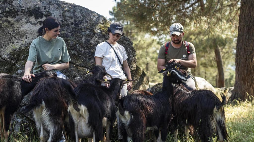 Mariluz, Paula y Mario en el campo de Las Navas del Marqués (Ávila).
