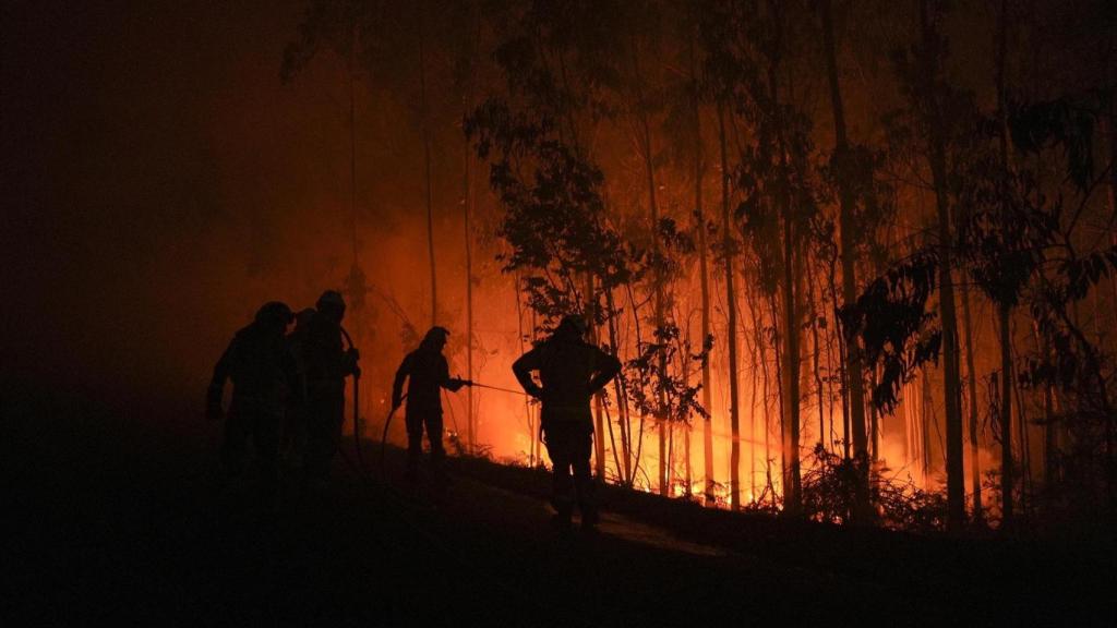 Uno de los tres incendios de este verano en Ponteceso.