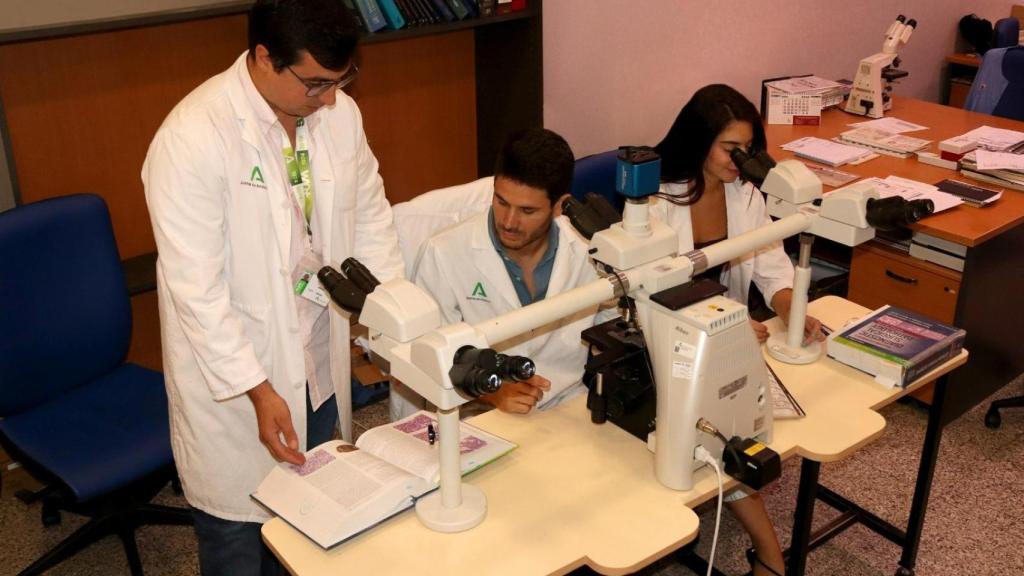 Investigadores del hospital durante el estudio