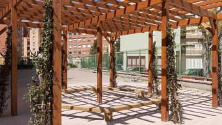 El patio CEIP J. M. Mir de Zaragoza, renaturalizado con el programa municipal.