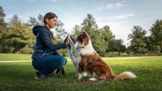 Una chica con un Border Collie.
