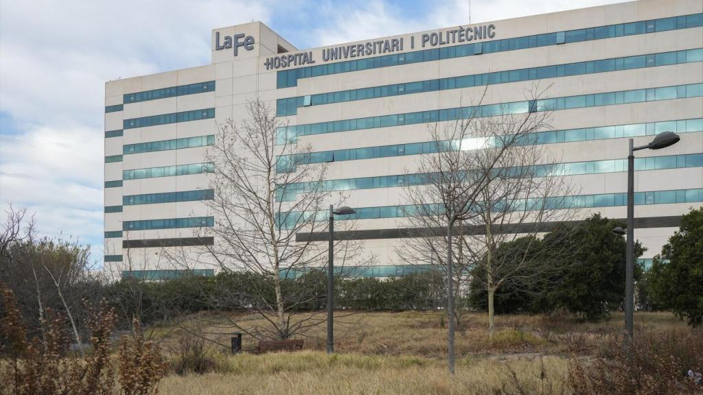 Hospital Universitario La Fe. Jorge Gil / EP