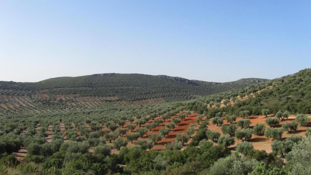 Ruta castillo de Peñas Negras y La Sima en Mora (Toledo).