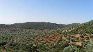 Ruta castillo de Peñas Negras y La Sima en Mora (Toledo).