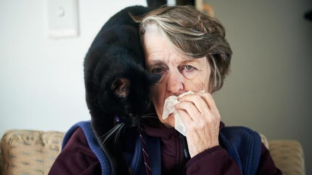 Una señora alérgica a los felinos, con un gato en la espalda.