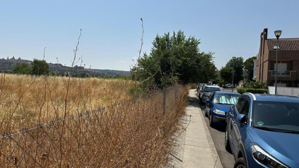 Estado de algunas parcelas en el barrio.