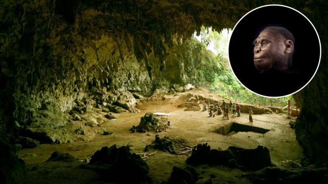 En este agujero vivía un hobbit. Universidad de Wollongong