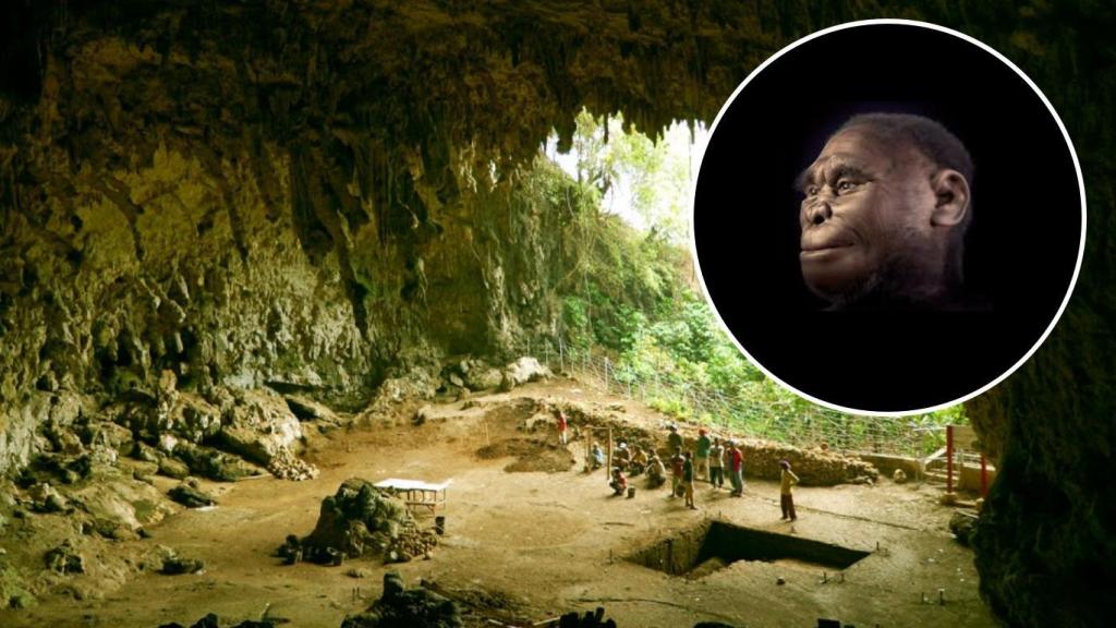 En este agujero vivía un hobbit. Universidad de Wollongong