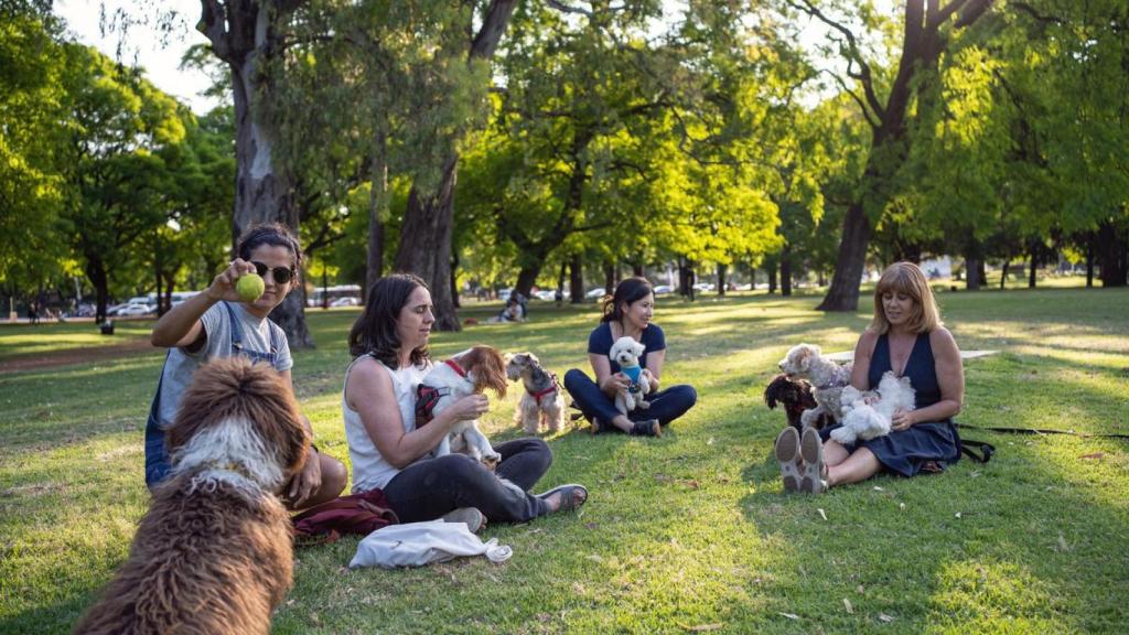 Cuatro chicas con sus perros en un parque jugando.