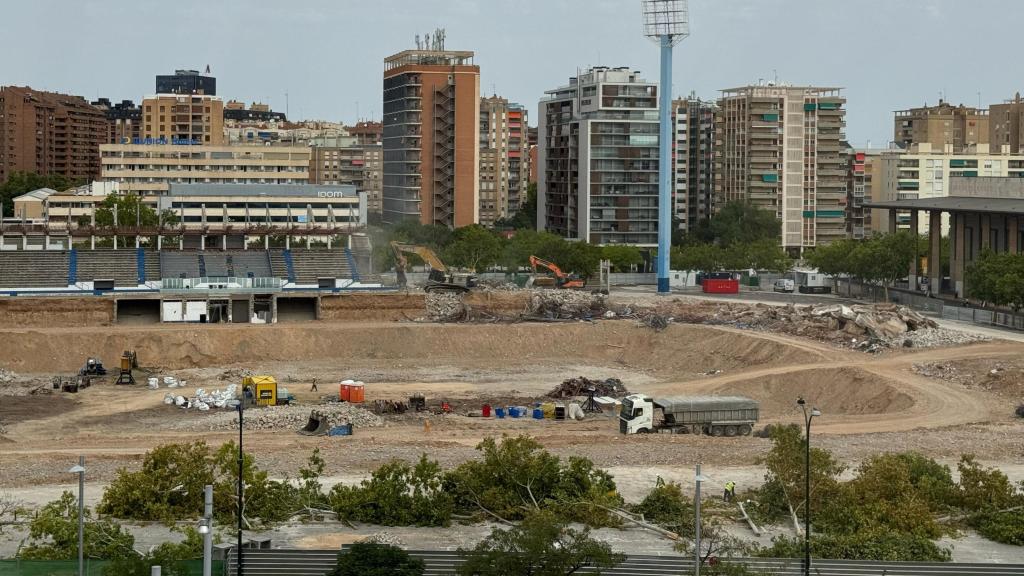 Los árboles del entorno de La Romareda, este miércoles, en el suelo.