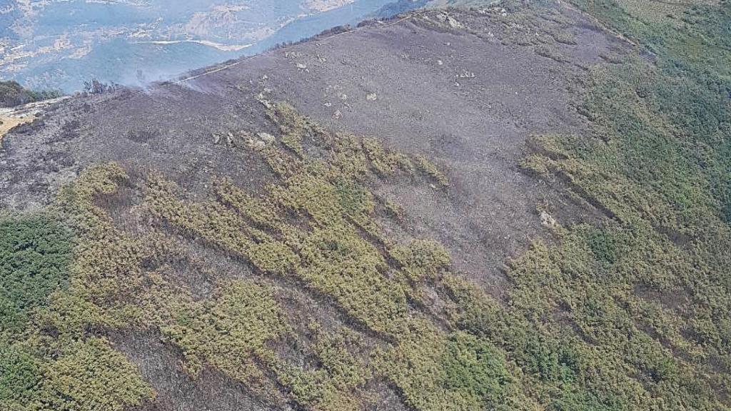 La zona que ha quedado arrasada por las llamas