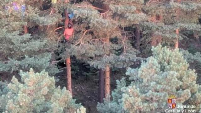 Rescate al parapentista que quedó colgado de un árbol en un pueblo de Segovia