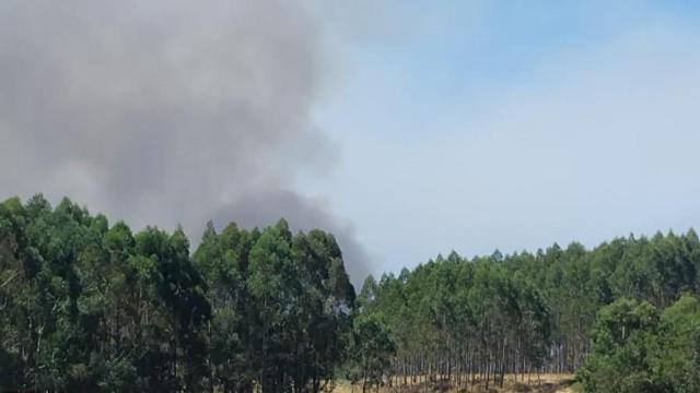 Imagen del humo provocado por el incendio forestal.