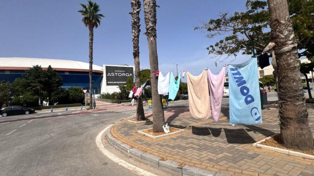 Impactante imagen al llegar al Martín Carpena de Málaga: Seré yo el raro pero muy normal no me parece