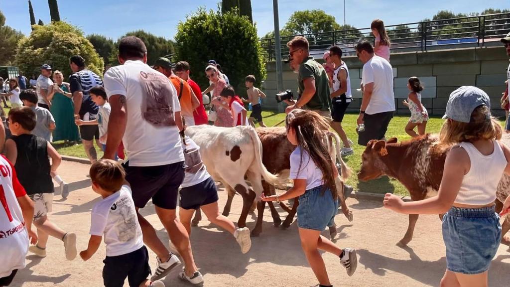 Bueyada Familiar de Pinto