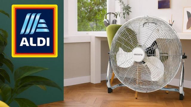 El producto de Aldi Finds.