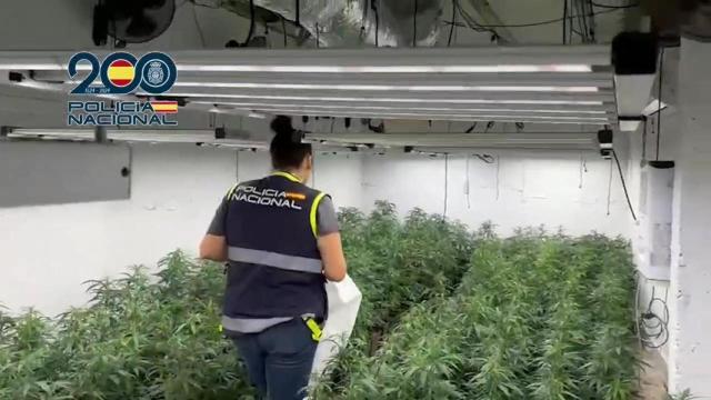 Cae en Málaga una banda que enviaba marihuana oculta a Irlanda