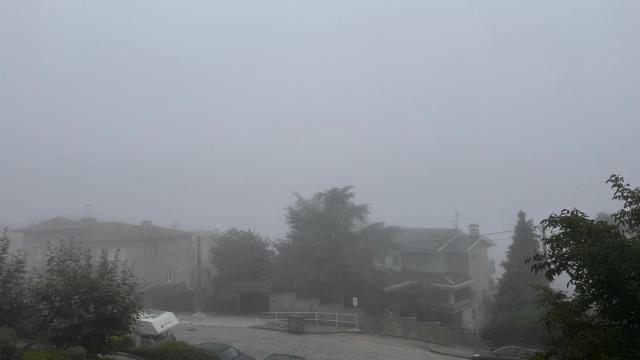 Vigo, a 8 de agosto de 2025