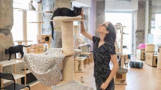 Eva Aznar Morales, fundadora de la Gatoteca, en la Gatoteca acariciando a un gato.