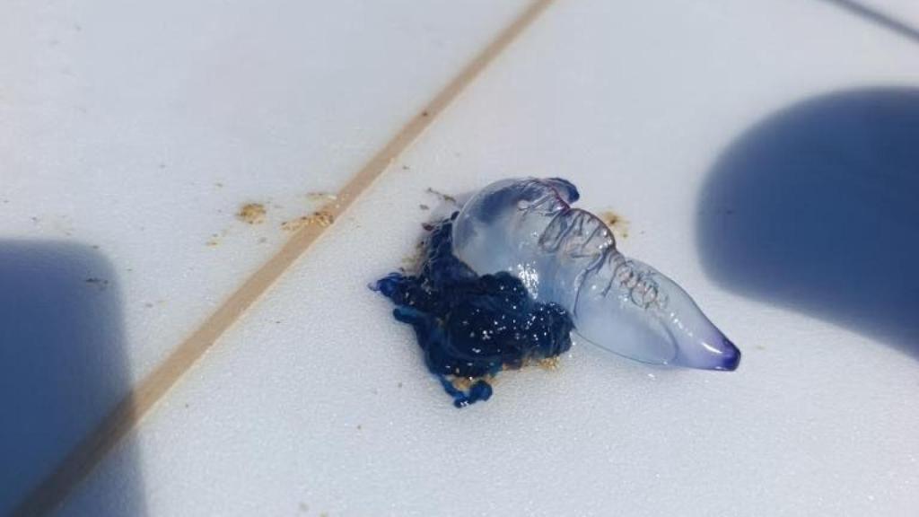 Carabela en la playa de Penencia en Ferrol