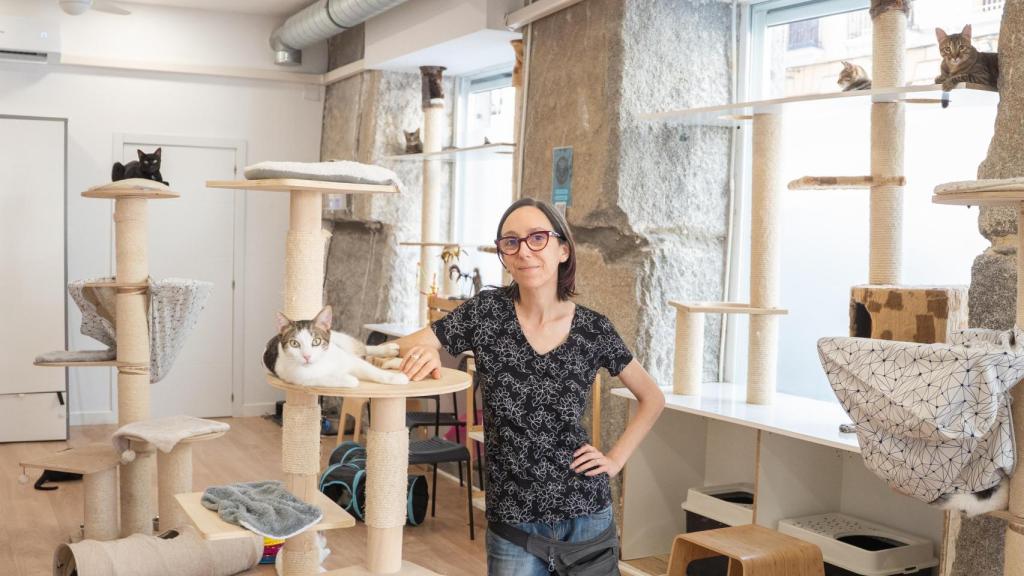 Eva Aznar Morales en la sala pública de La Gatoteca con los gatos.