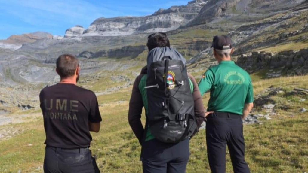 Parte del dispositivo de búsqueda.