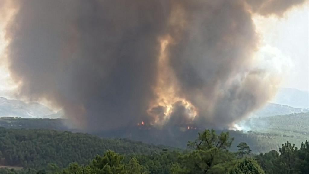 Imagen del incendio en San Bartolomé de Pinares