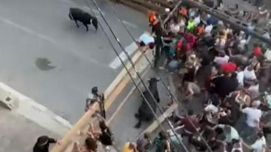 Momento de caos en Alcalá del Júcar. Foto: redes sociales / Pedro Pini.