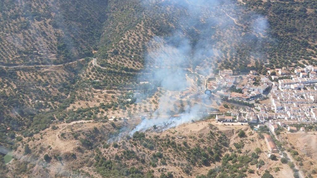 Declarado un incendio forestal en Cortes de la Frontera (Málaga)