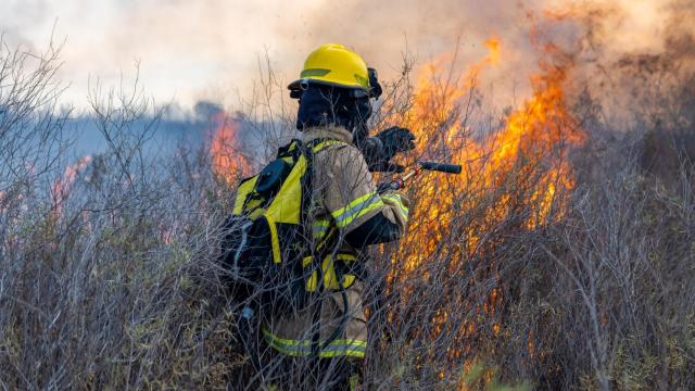 Imagen de archivo de un bombero en un incendio forestal.