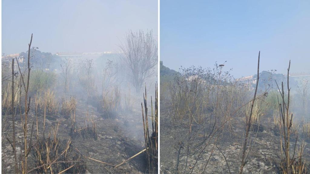 La zona del monte de San Pedro afectada por las llamas este domingo tras las tareas de extinción de los bomberos.
