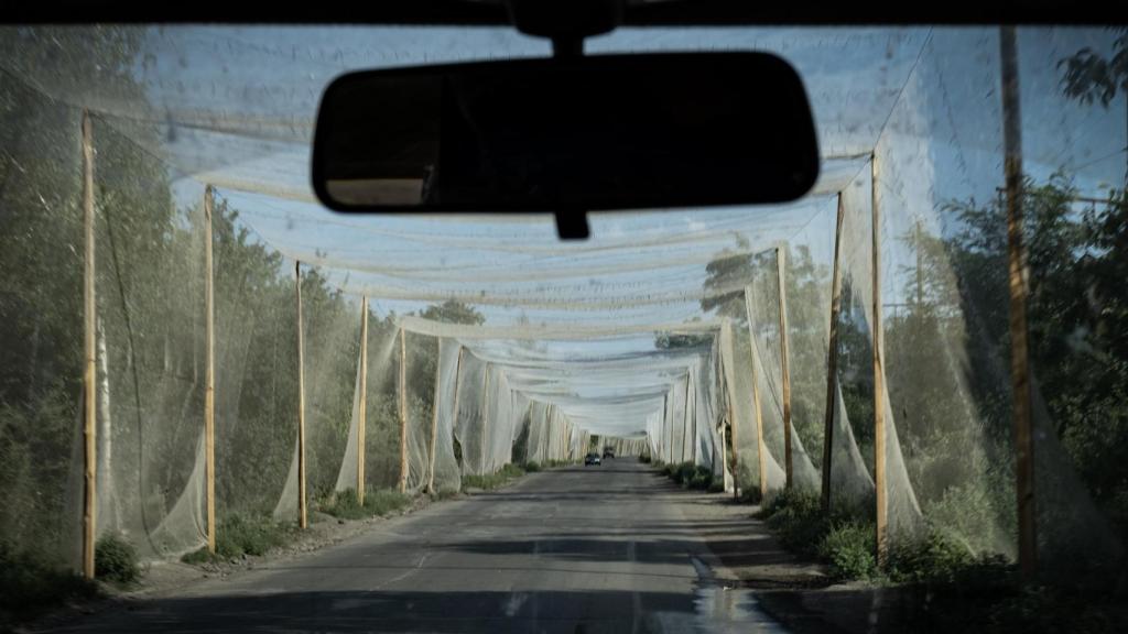 Un tramo de carretera en el Oblast de Donetsk, cubierto con redes de pesca como medida de protección contra los drones FPV rusos
