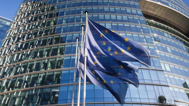 Un programa de prácticas permite trabajar para la Unión Europea.