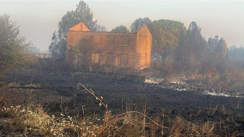 Una zona del terreno calcinado por las llamas
